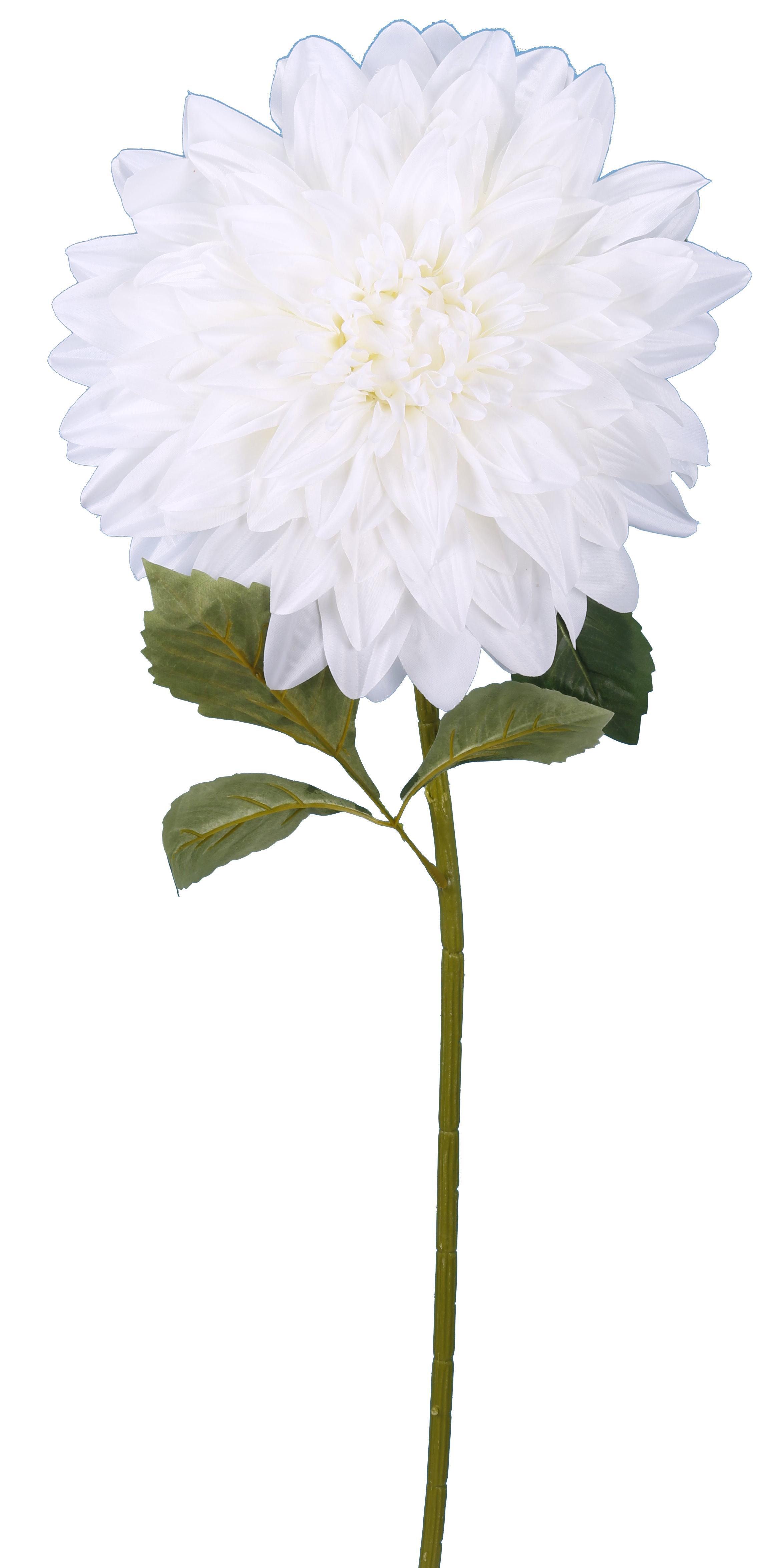 DAHLIA CREME H.95CM