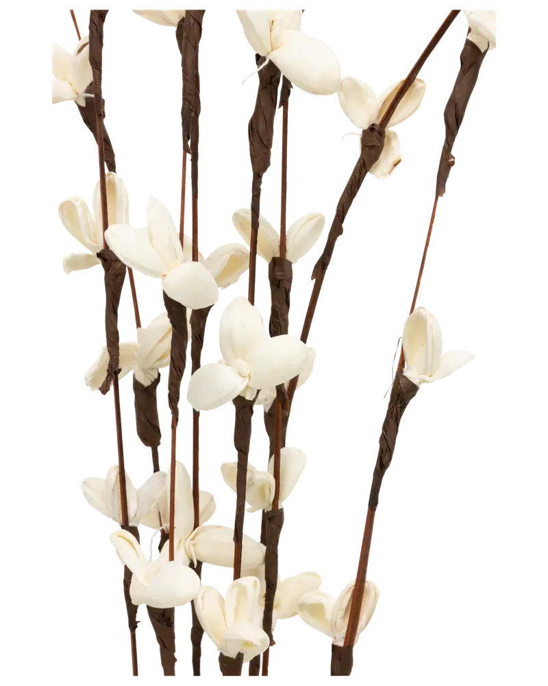 Tørret softwood blomster - assorterede varianter