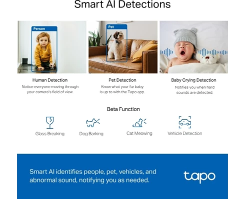TP-Link Tapo C220
