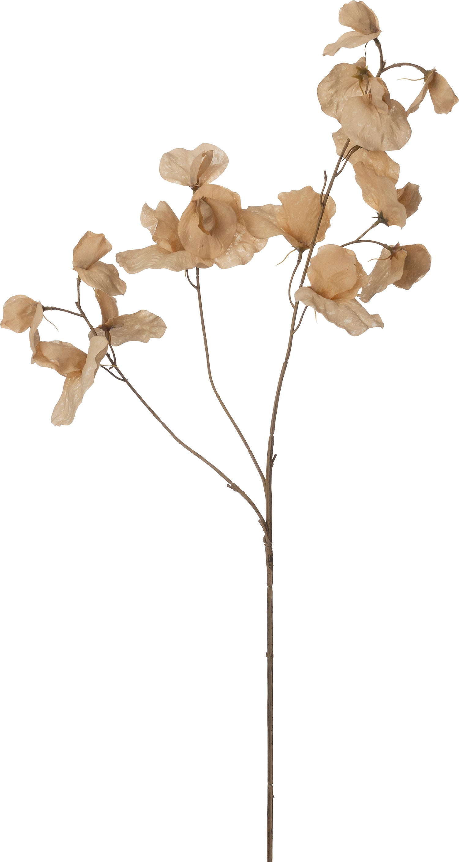 Intratuin kunstbloem Lathyrus crème 72 cm