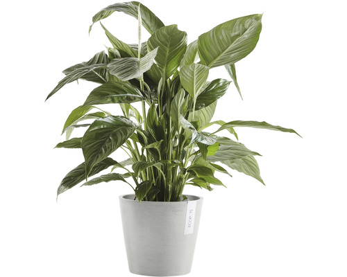 Ecopots Amsterdam plantenpot, kunststof, Ø 20 cm, H 17,5 cm, witgrijs