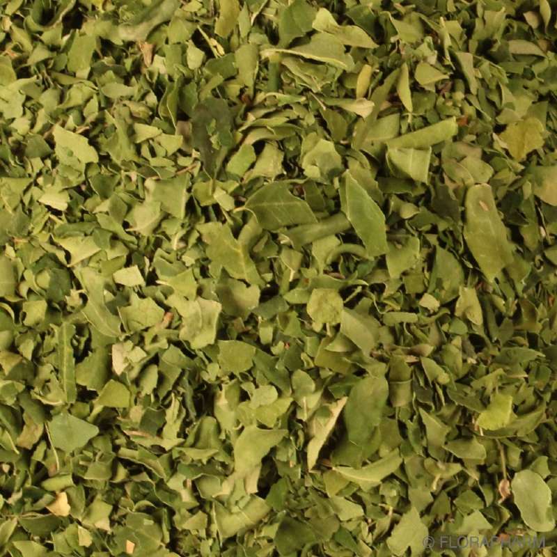 Moringa Feuilles Bio en Vrac 5kg Vrac Bio