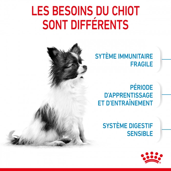 Royal Canin X-Small Puppy