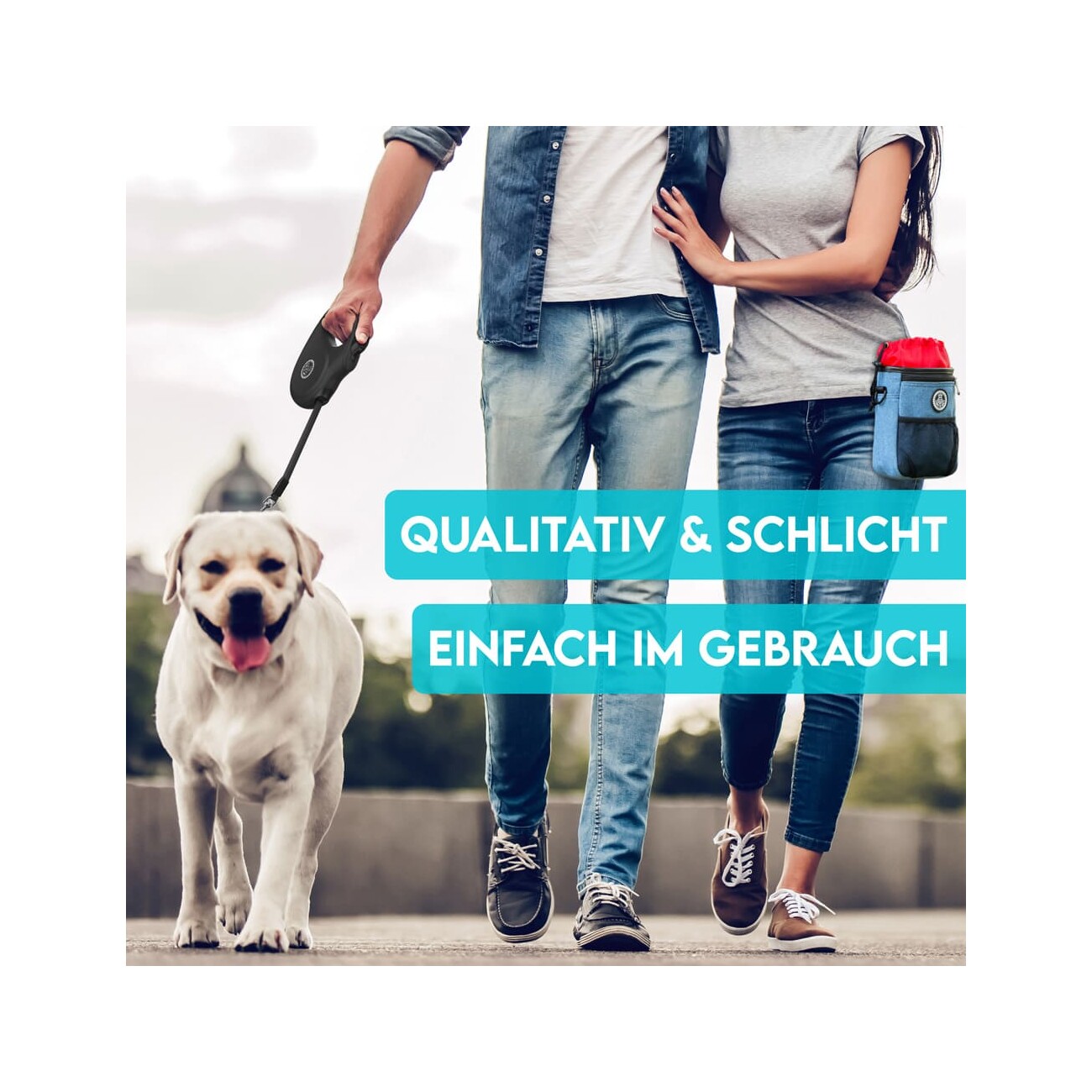 HUND IST KÖNIG Rollleine für Hunde | robuste Hundeleine für kleine & große Hunde | 15-50 kg schwarz S