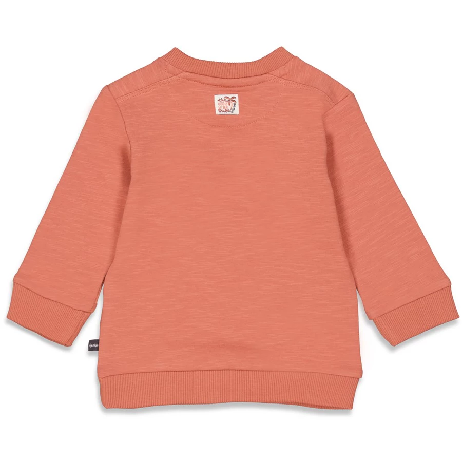 Feetje Sweatshirt Good Vibe Tribe Brique