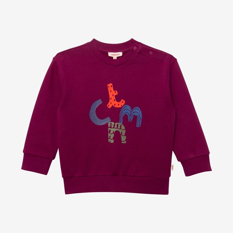 Sweat bébé garçon violet en coton recyclé Catimini Mauve Violet