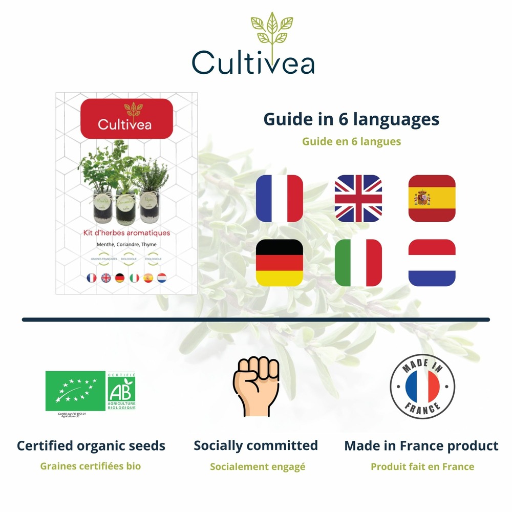 Kit d'herbes aromatiques bio – (menthe, coriandre, thym)
