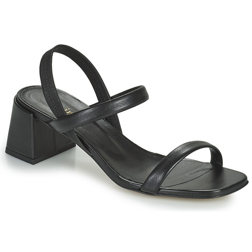 Minelli - TEILYE - Noir