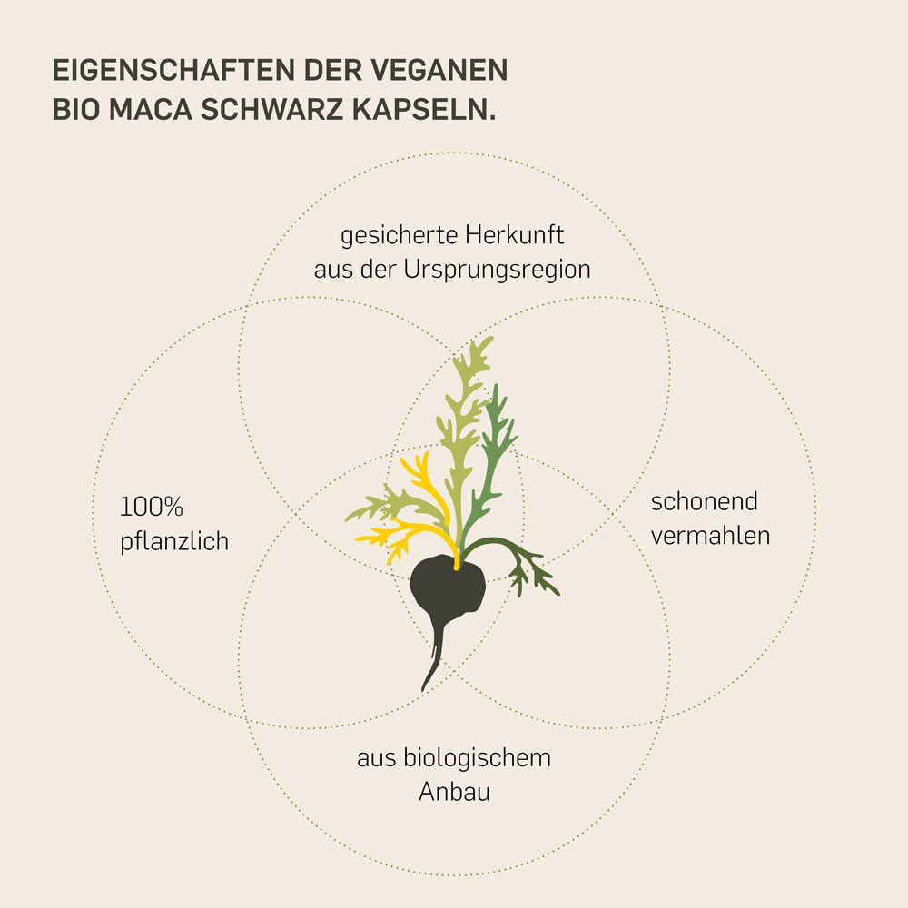 Kurkraft© Bio Maca Schwarz