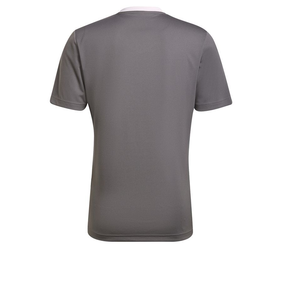adidas T-shirt d'Entraînement Entrada 22 - Gris/Blanc