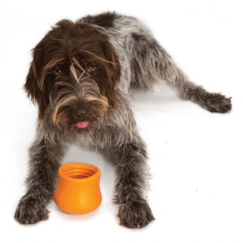 Brinquedo para cães Toppl Roly-Poly, laranja