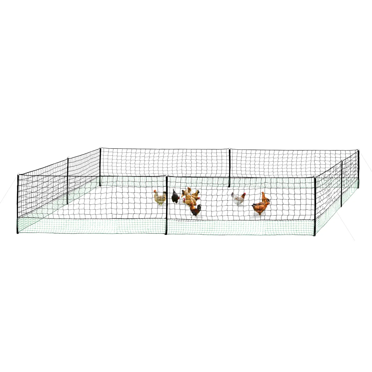 Kit clôture filet à poules 24 M avec porte 9 piquets double pointe