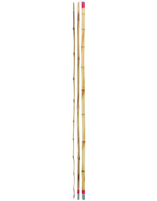 Albatros Bamboehengelset 300cm & Tuigje - Hengels -