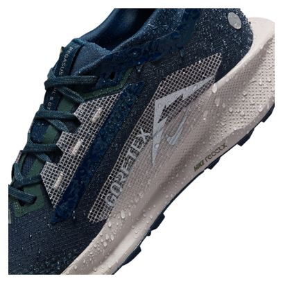 Chaussures Trail Nike Pegasus Trail 5 GTX Bleu Femme