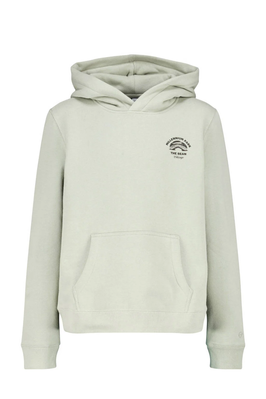 America Today hoodie mintgroen