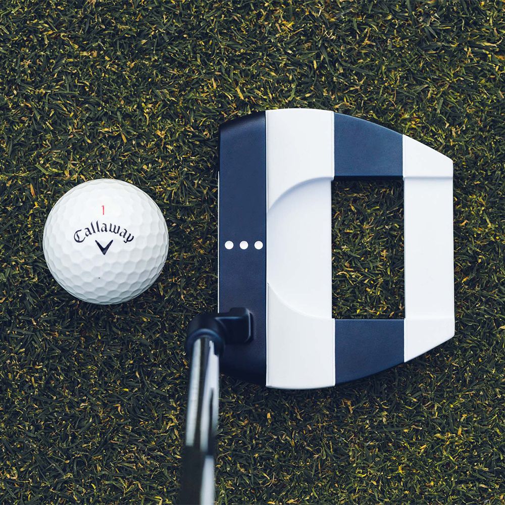 Ai-ONE Jailbird Mini CH Putter