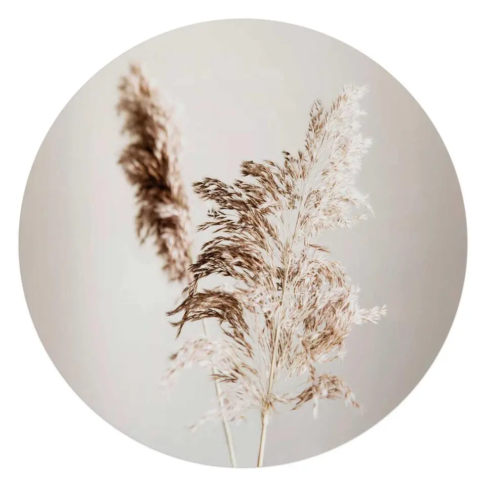 Glasschilderij Pampasgras - Ø 70cm - Beige