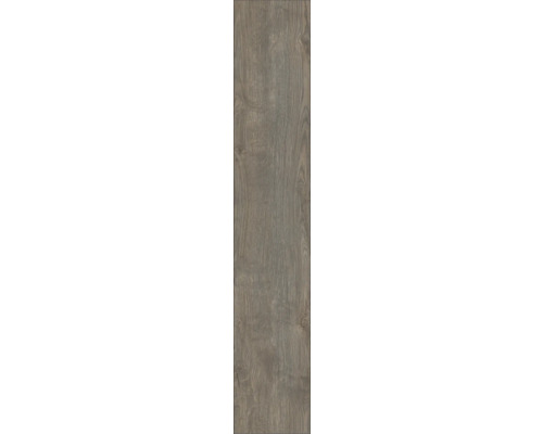 Laminaat 8.0 Exquisit Plus Ruby Oak Platinum