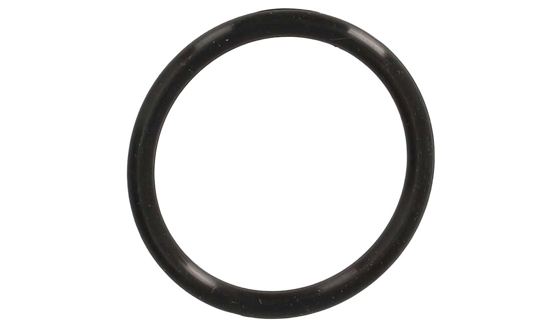 O-ring for ventiljusteringsprop, TD125