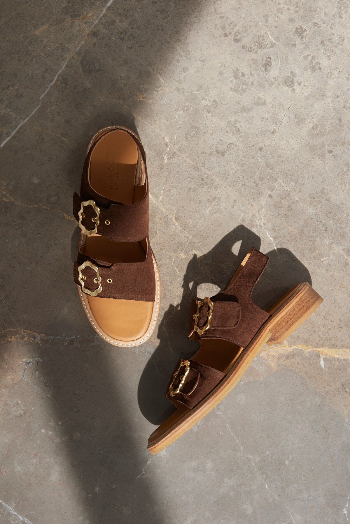 Angulus Sandal nut