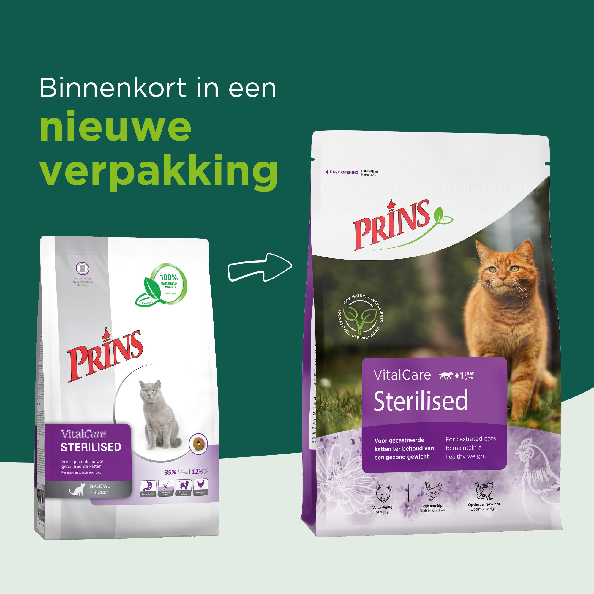 Prins VitalCare Cat Sterilised