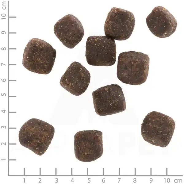 Hundesnack Squashies Wild Duck