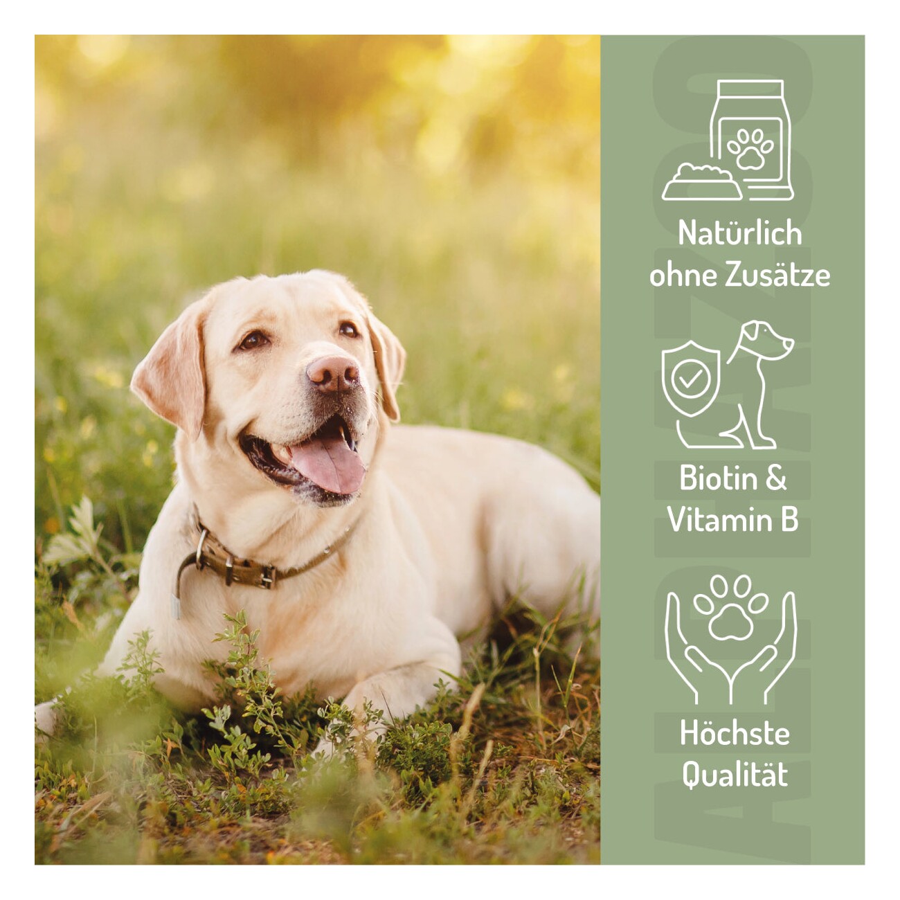 ALPHAZOO Bierhefe Pulver für Hunde & Katzen I Reine Hefe I Vitamin B Komplex 250 g
