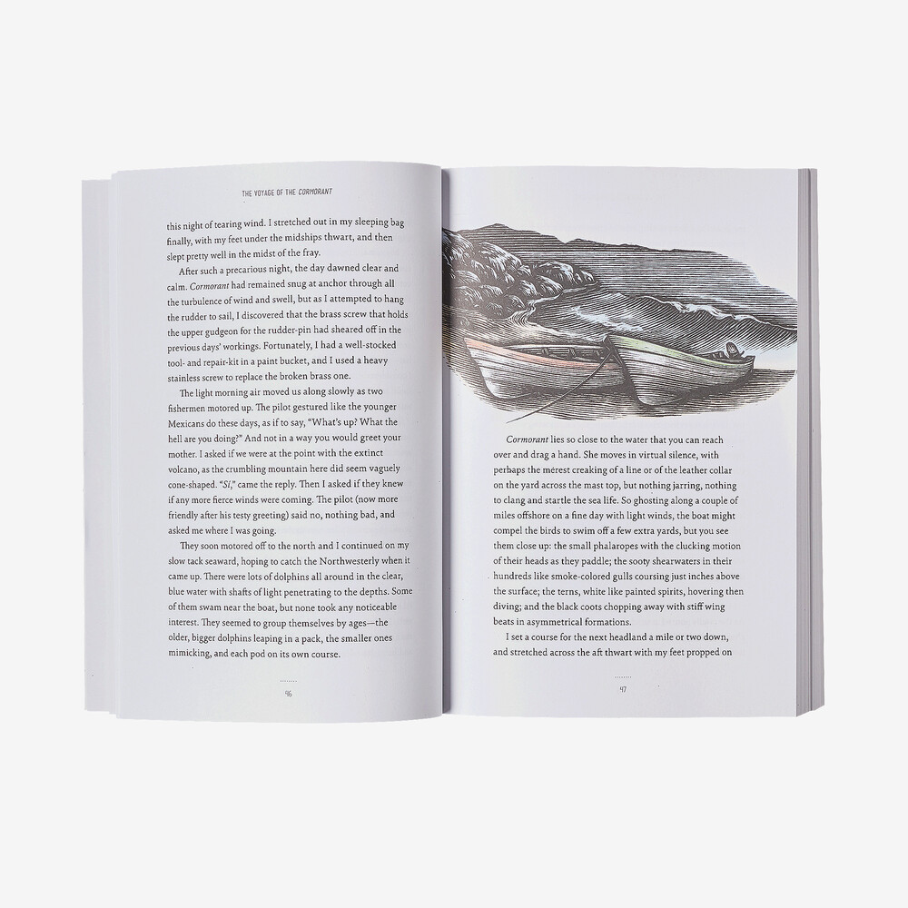 Die Reise der Cormorant: Eine Erinnerung an das wandelbare Meer von Christian Beamish (Patagonia-Taschenbuch)