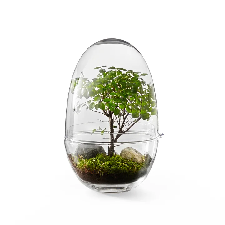 Design House Stockholm - Grow Gewächshaus, medium
