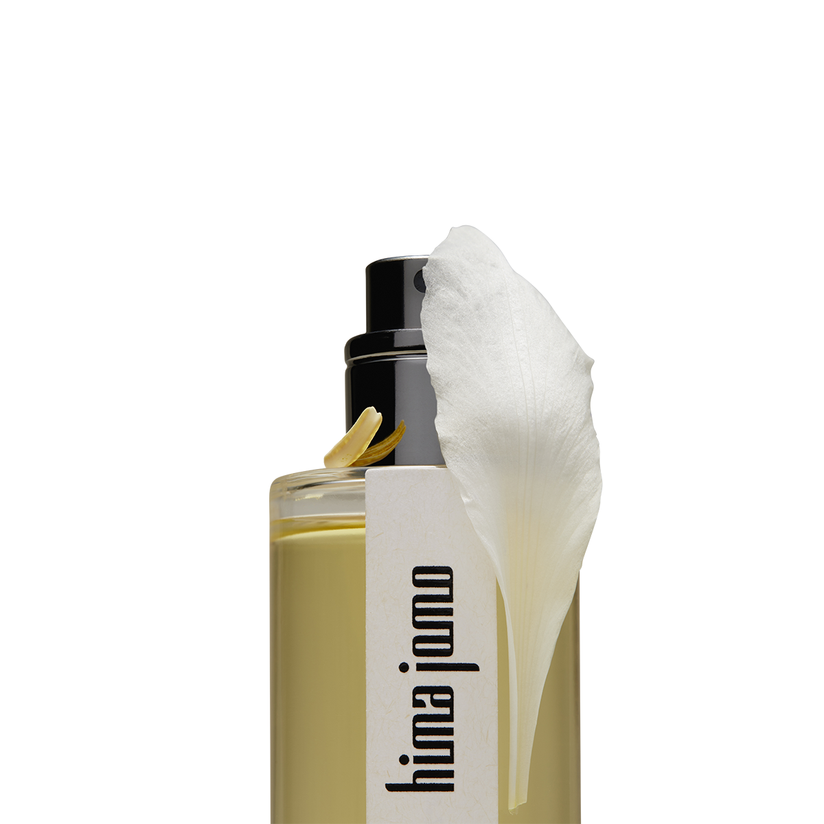Loon Eau de Parfum 50ml