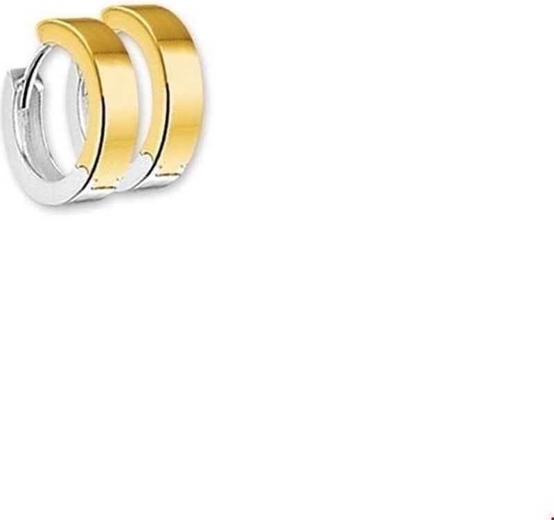 Bicolor Gouden Klapoorringen 2 4200195