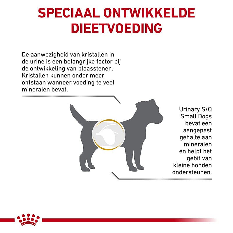 Royal Canin Hond Urinary SO Small Dog Dieetvoeding voor ondersteuning van de urinewegen van honden met een volwassen gewicht tot 10 kilo