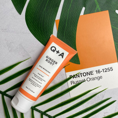 Q+A Ginger Root Daily Moisturiser