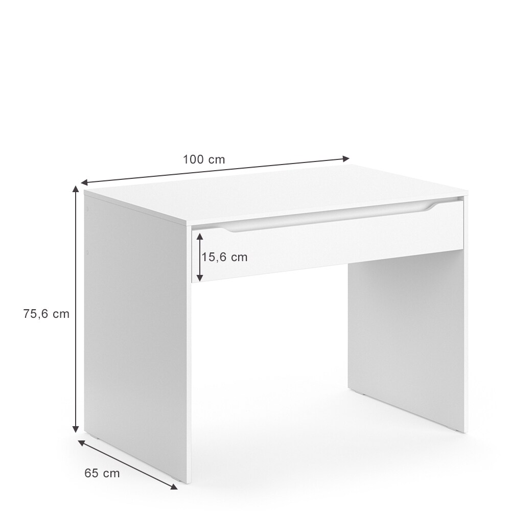 Vicco Schreibtisch Bürotisch Computertisch Ruben 100x65cm Arbeitstisch Büromöbel