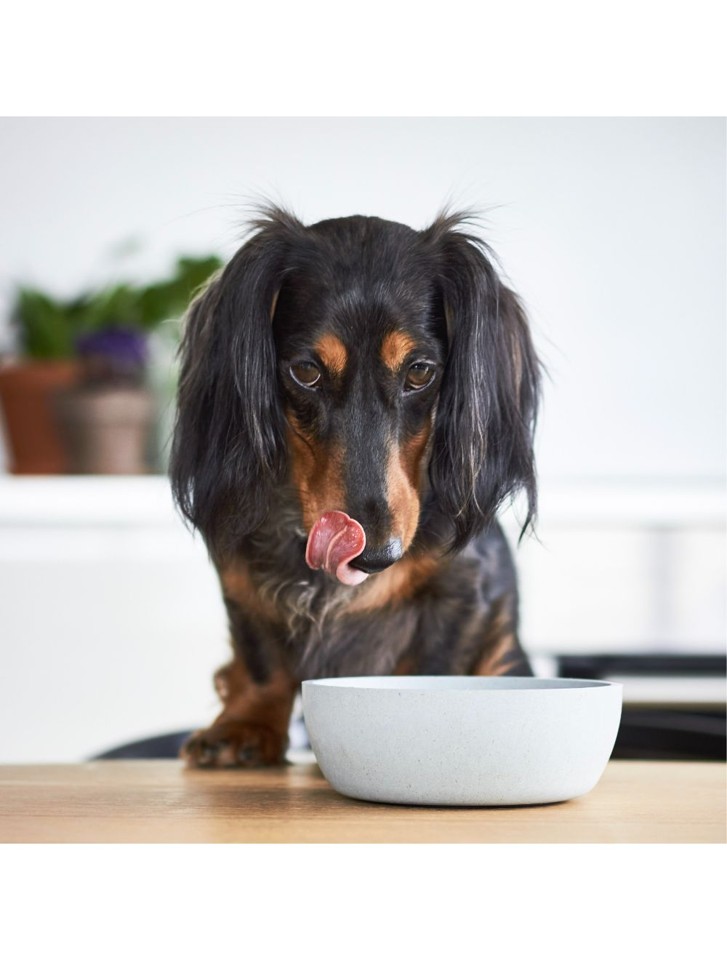 District70 -Bamboo Hundeskål Dog Bowl Large Ice Blue