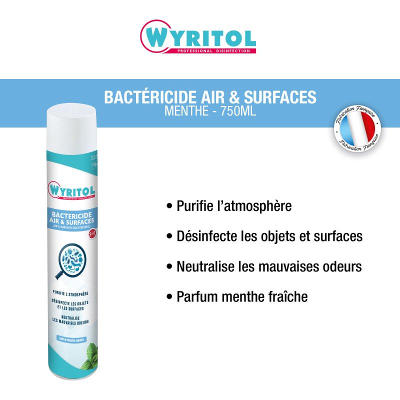 Désodorisant bactéricide Wyritol Professional Desinfection menthe - Aérosol 750 ml