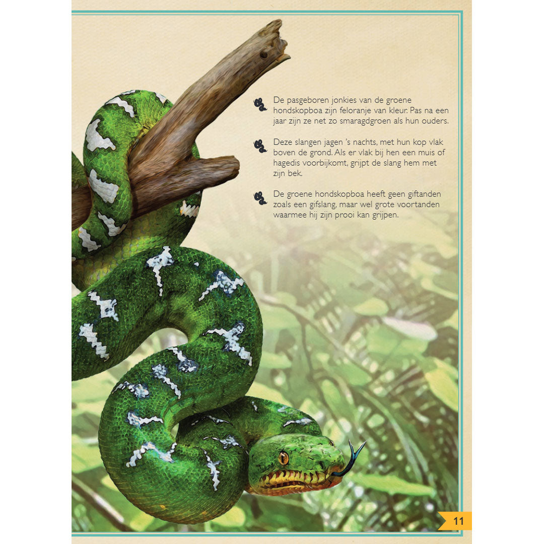 Aller mooiste boek over reptielen en amfibieën