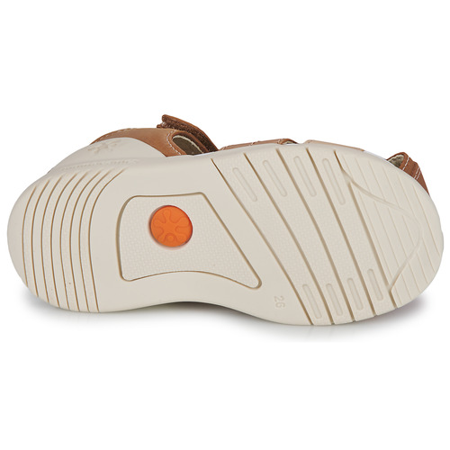 Biomecanics - 232258 - Cognac