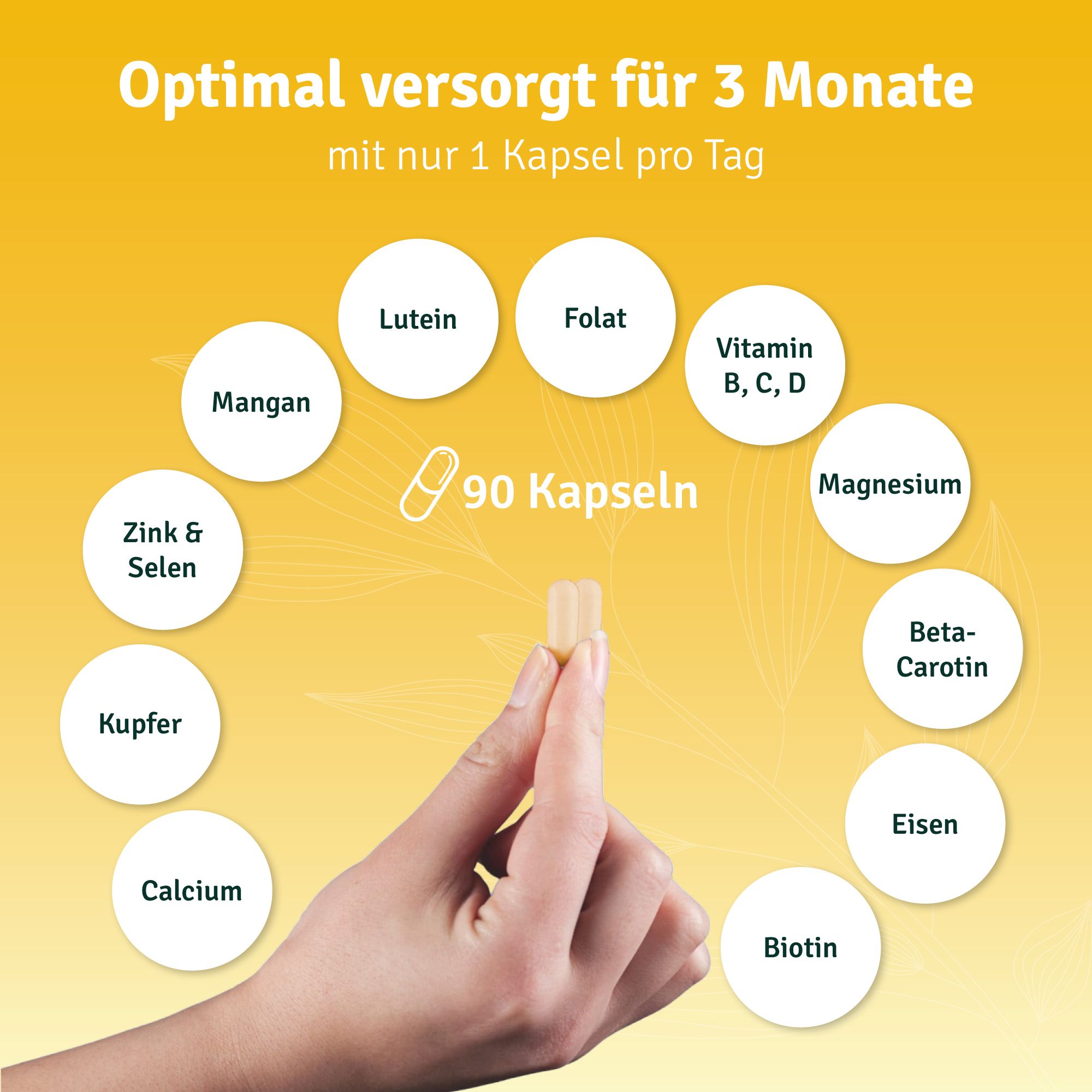 vitelly PregnyLac – Schwangerschafts Vitamine für 3 Monate
