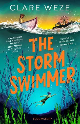 The Storm Swimmer (Paperback)