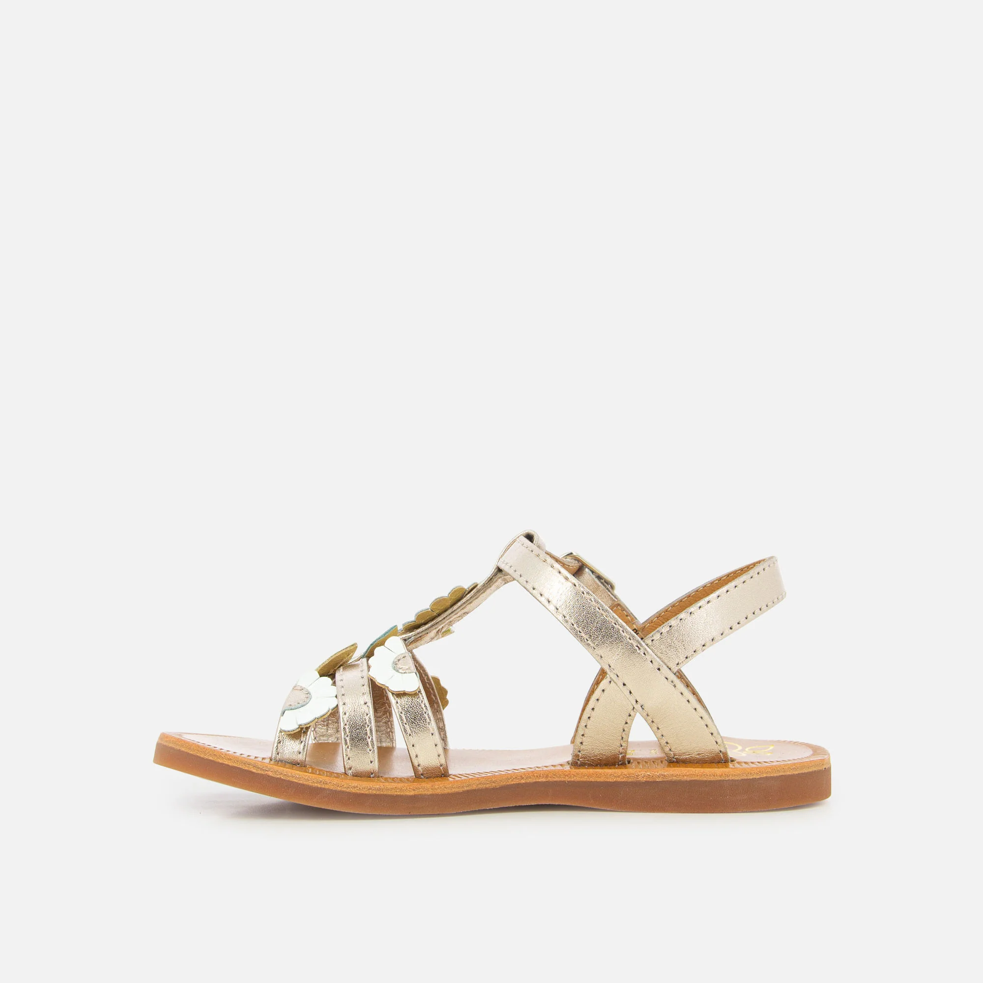 PLAGETTE MULTI DAISY