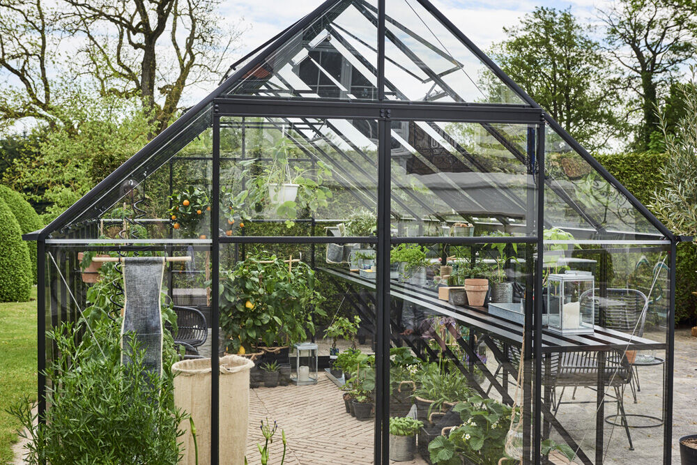 HALLS Qube 816 - Tuinkas - zwart - 219x246x508 cm - Veiligheidsglas