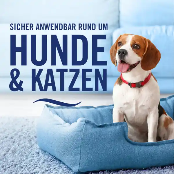 Textilerfrischer Intensive Frische