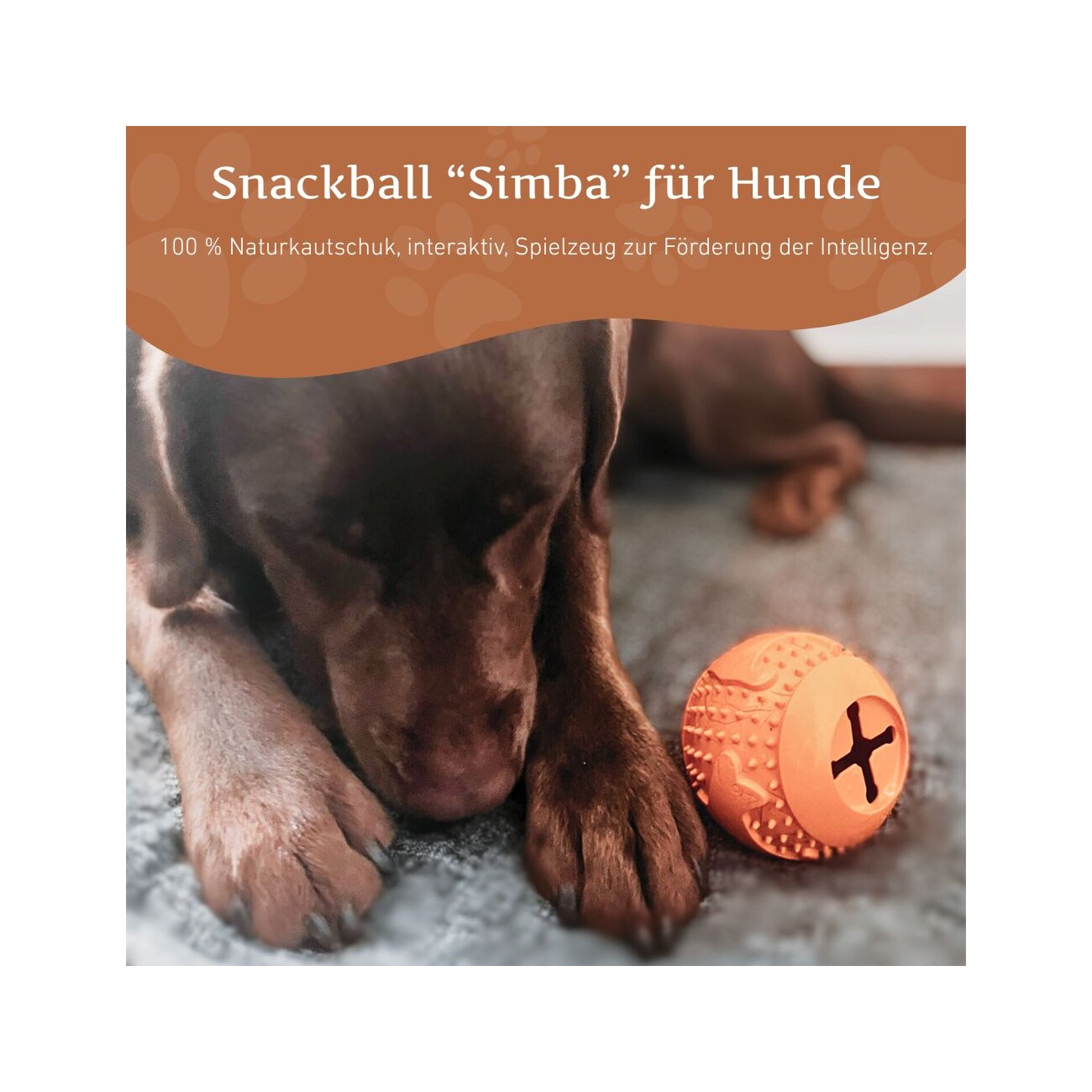 Wildfang Naturkautschuk Snackball - Snackball 
