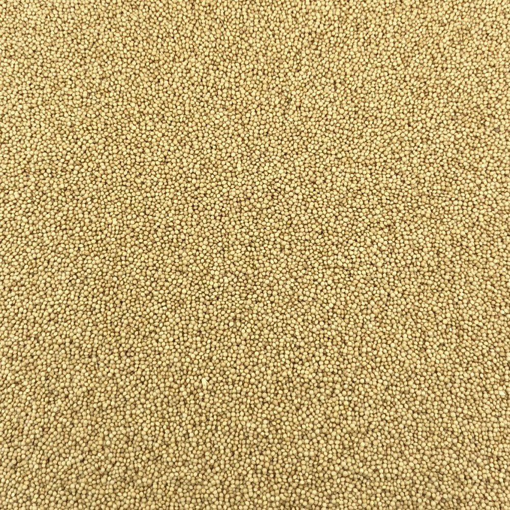 Millet Bio en Vrac 1kg Vrac Bio