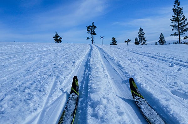Abenteuerurlaub Lappland für 2