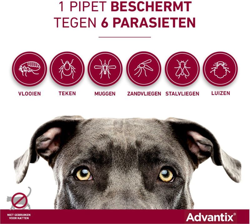Advantix Spot On 600 Anti Vlooien en Teken Druppels Hond 40 - 60 kg 4 pipetten