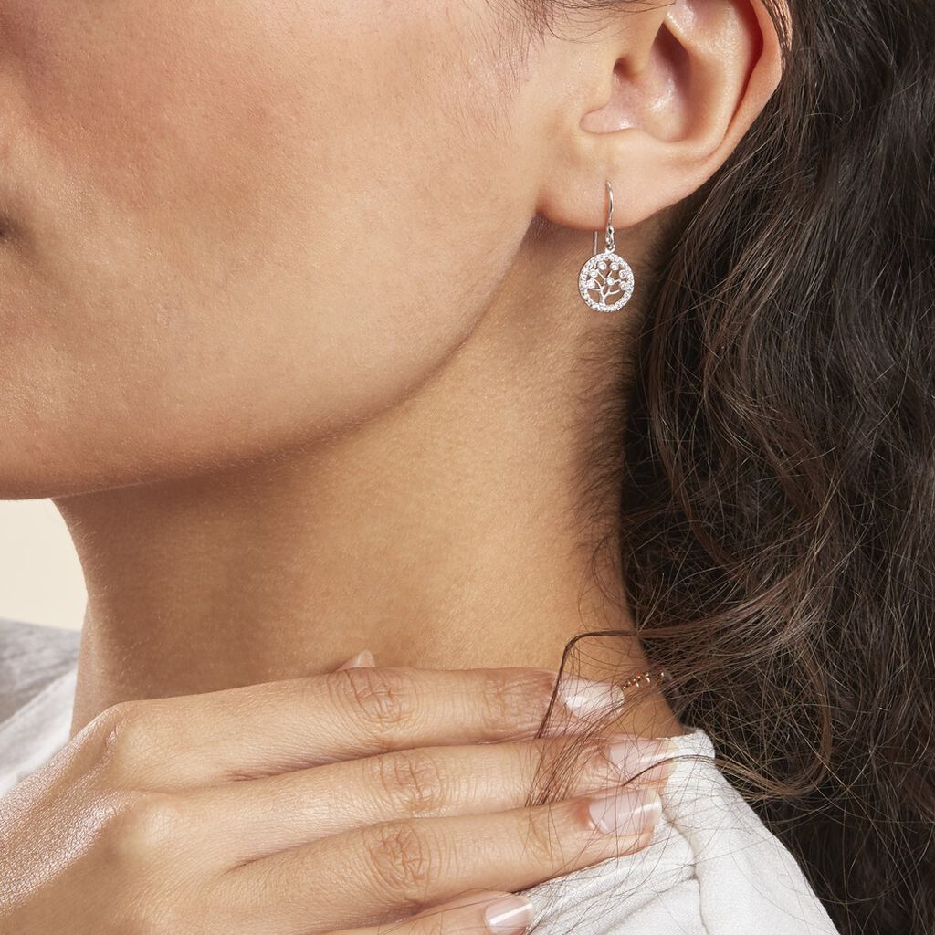 Boucles D'oreilles Pendantes Chimere Argent Blanc Oxyde De Zirconium