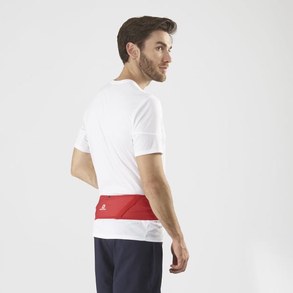 Ceinture porte gourde SALOMON PULSE BELT GOJI BERRY