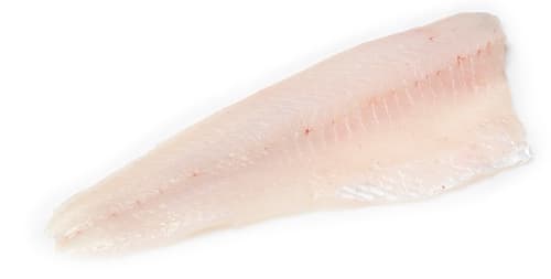 Fischerei Lechler Zanderfilet